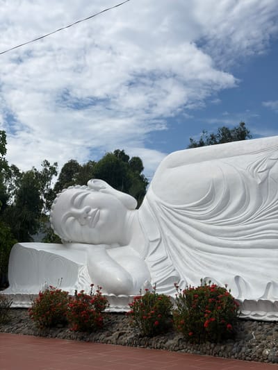 The image displays a majestic white reclining Buddha statue situated outdoors in Cam Ranh, Vietnam. The serene figure, carved from a light-colored material such as marble or painted concrete, is depicted in a state of peaceful repose, lying on its right side with the head resting gently on a raised hand. Intricate folds and curves are visible in the drapery of the Buddha's robes, lending a sense of grace and texture to the large sculpture. The Buddha's facial features convey tranquility, with softly closed eyes suggesting contemplation or parinirvana.
The base of the statue is adorned with vibrant bushes bearing small red flowers, providing a lively contrast against the pristine white of the sculpture. These flowering bushes are bordered by a textured arrangement of dark pebbles and rocks, which separates the statue's immediate surroundings from a reddish-brown tiled path or wall on the right side of the frame. Tall, lush green trees with dense foliage frame the statue in the background and partially in the foreground. Above, a bright blue sky is adorned with scattered white cumulus clouds, indicating a clear, sunny day. A thin black utility wire is visible traversing the upper left corner of the sky. The overall scene evokes a profound sense of peace and spiritual calm at what is likely a Buddhist temple or religious site. No text is visible.