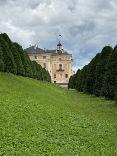 This is a ground-level, medium shot of a pale yellow, baroque-style palace with a dark roof, set against a cloudy, grey sky. A small Russian flag flies from a cupola atop the palace. The palace is framed by two dense, conical rows of dark green evergreen trees. In the foreground, a lush, steeply sloping green lawn with scattered small yellow wildflowers leads up towards the palace. A single, dark-clothed person is visible standing on a paved path to the left of the palace, partially obscured by the trees. The scene appears to be an exterior view of the Konstantinovsky Palace in Strelna, Russia, a historical landmark and former imperial residence.