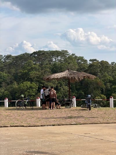 The image depicts an outdoor scene, likely a rest stop, under a bright sky with scattered white clouds, situated in a densely forested, mountainous region. The foreground features a wide, light-colored concrete road on the right, separated by a distinct crack from a brick-paved path on the left.

In the midground, a group of approximately five to seven young people, mostly males, are gathered under a large, round thatched umbrella, providing shade on the brick pathway. They are dressed in casual attire, including t-shirts and shorts, and are largely seen from behind, suggesting they are conversing or resting. One individual wears a shirt with the number "06" visible on the back.

Several bicycles are parked nearby. A prominent blue bicycle, with a helmet resting on its seat, leans against a white and red striped barrier post on the left side of the brick path. Another dark-colored bicycle is visible further along the path to the right of the group, also near barrier posts. These barriers delineate the edge of the brick pathway.

The background is dominated by a lush, green forest composed of numerous coniferous trees, extending across the horizon under the bright sky. The strong sunlight and clear skies indicate it is daytime, likely mid-morning or early afternoon. The scene suggests a leisure activity, possibly a cycling trip, where the participants have paused for a break in a scenic location, consistent with the context of Măng Đen, Vietnam.