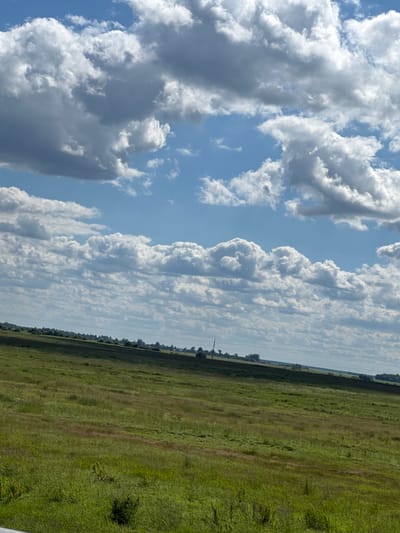An outdoor shot captures a vast expanse of green fields under a bright blue sky dotted with fluffy white clouds. The fields are largely uncultivated, with varying shades of green and brown indicating different types of vegetation and possibly some dry patches. In the distance, a faint treeline forms the horizon, beyond which is a strip of lighter sky. The overall impression is one of a serene, natural landscape. The image does not contain any people or man-made structures in the foreground, though a distant utility pole with wires is visible.