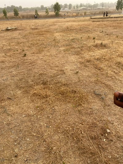 A landscape shows a vast expanse of dry, brown grassland. A few trees border the field on one side, with a road and buildings visible further away in a hazy distance. The ground is covered with dry grass, twigs, and small rocks. A fingertip from a person's hand is at the top of the image.
