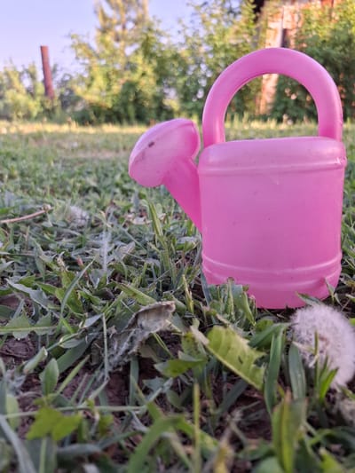 The image shows a pink plastic watering can lying on its side in grass. A dandelion with a fluffy seed head is near the watering can. The background is blurry but includes trees, a fence post, and a blue sky. The location is Амзя, Russia.