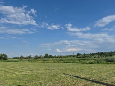 An outdoor, wide-angle shot captures a sunny day with a blue sky dotted with scattered white clouds. In the foreground, a freshly mown green field exhibits parallel striations from the cutting process, with a faint shadow of an unseen object cast across it. A line of trees and dense green vegetation forms a mid-ground barrier, behind which a rolling, tree-covered hill rises. The scene appears to be a rural landscape, likely on the outskirts of Merenii Noi, Moldova, given the context. No people or specific actions are visible. The overall environment is natural and serene.