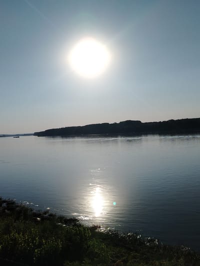 The image depicts a wide river with a forested bank on the opposite side. The sun is high in the sky, casting a bright reflection on the water's surface. A small barge or raft is visible in the distance on the left side of the river. The foreground features a dense patch of green foliage along the river's edge. The sky is a pale blue with a slight haze. The scene suggests a tranquil, natural setting, likely the Danube River in or near Silistra, Bulgaria, given the characteristic wide river and the presence of a forested embankment. There are no people or specific identifiable structures visible.