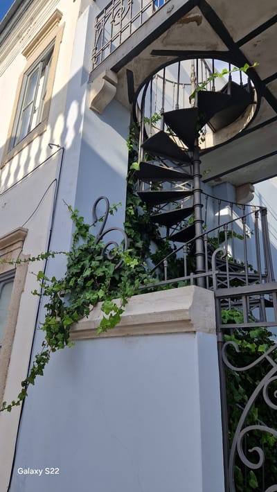 The image shows an exterior view of a building in Faro, Portugal, featuring a dark metal spiral staircase and ivy climbing up the side of the structure. The building has a light blue facade and a white upper section with a window. The staircase is partially covered in ivy, adding a touch of greenery to the architectural elements. The sky is visible through the openings of the staircase, suggesting an outdoor setting. The foreground shows a stone ledge covered in ivy, with a decorative metal railing to its right. The overall scene conveys an urban architectural element integrated with natural growth.