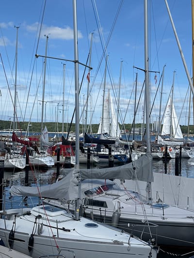 A fleet of sailboats are docked in a harbor in Kiel, Germany. The boats are of various sizes and colors, with many of their sails furled. The water is calm and reflects the blue sky and white clouds. In the background, a lush green forest lines the shore, and a few buildings are visible. The scene suggests a peaceful day at the marina, possibly in the summer or early autumn. The image is taken from a low angle, looking up at the masts of the boats, which create a sense of height and depth. The overall impression is one of order and tranquility, with the boats neatly arranged in their berths.
