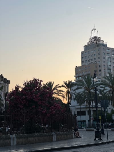 The image depicts a street scene in Palermo, Italy, likely during the early morning or late evening due to the soft, warm light illuminating the sky. Tall, modern buildings with numerous windows dominate the background, some appearing to be hotels or apartment complexes. In the foreground, lush green palm trees and a vibrant bush with pink flowers add a tropical feel to the urban environment. A dark, ornate metal fence runs along the edge of a paved sidewalk, separating the greenery from the street.
A single person is visible sitting on a low stone wall next to the fence, appearing relaxed. They are dressed casually in shorts and a t-shirt. The presence of street lamps and the cobblestone sidewalk suggest this is a public area within the city. The overall mood is tranquil and serene, perhaps indicating a quiet moment before the day's activities begin or after they have concluded. The sky is a soft gradient of pale blue and warm yellow, hinting at a sunrise or sunset. The absence of significant activity or crowds contributes to this sense of calm. A thin white contrail from an airplane is visible in the upper left quadrant of the sky.