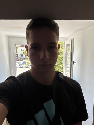 A young male, appearing to be in his late teens or early twenties, is the central subject of this indoor selfie. He has short, dark hair and is looking directly at the camera with a neutral expression. He is wearing a dark t-shirt with a teal-colored logo, which is partially visible.
The subject is positioned in what appears to be a hallway or entryway, with a door or opening to his right and a window to his left. The window looks out onto a street scene with buildings, trees, and parked cars. The overall lighting suggests daylight, with the subject being partially silhouetted by the light coming from the window. The interior walls are painted white, and there is a faint water stain visible on the ceiling above the subject's head.
This scene is not specifically identifiable as being in the city of Cetinje, Montenegro. There are no discernible landmarks or contextual clues that would pinpoint the location to Cetinje.