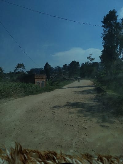The image depicts a rural, unpaved dirt road in the city of Bikara, Democratic Republic of the Congo, under a clear blue sky with sparse white clouds. Two thin, dark overhead lines, possibly power or communication, traverse the upper sky. The road, showing small stones and an uneven surface, curves gently to the right in the distance. Lush green vegetation, including numerous trees and shrubs, borders both sides of the road, with denser foliage on the right. On the left side, a reddish-brown brick or mud-brick building with dark, possibly wooden, doors or coverings is visible. Further in the background, other indistinct structures are interspersed among the trees. A single individual is visible walking away from the viewer on the dirt road in the mid-ground. The foreground displays a blurred, fibrous, brown and tan element, consistent with the interior of a vehicle from which the photograph was taken. Sunlight illuminates the scene, casting shadows from the trees onto the right side of the road.