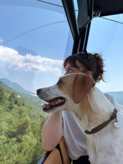 This media file depicts a medium-sized dog with light brown and white fur, wearing a brown collar, peering out of a window. The dog's mouth is open, revealing its teeth, and it appears to be panting or excited. Beside the dog, a person with dark hair pulled back in a bun is visible. They are wearing glasses and a white t-shirt. The person is leaning towards the window, seemingly interacting with the dog.

The setting is likely inside a vehicle, possibly a cable car or tram, given the large glass windows and the view outside. The window shows a bright blue sky with scattered white clouds. Below the sky is a lush green landscape of trees and hills, suggesting a mountainous or forested area. The overall lighting indicates it is daytime, likely a sunny day.

The camera angle is from a low perspective, looking up towards the subjects and out the window. The image has a slightly tilted orientation. A small circular reflective object is visible on the dark frame of the window in the upper left corner.

There is text visible on a tag attached to the dog's collar, which appears to be a dog tag with numbers and letters. Though mostly illegible, it resembles "9809742488".

The scene conveys a sense of adventure or travel, with the subjects enjoying the view from the window. The dog's expression suggests enthusiasm, while the person's posture indicates engagement with the experience. The location context of Dub, Montenegro, implies a scenic, possibly natural environment being viewed.