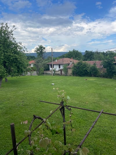 The image depicts a verdant lawn in Baevtsi, Bulgaria, dotted with structures, foliage, and metal supports. In the background, there is a traditional Bulgarian house with a white facade, a tiled roof, and a neighboring stone building. A utility pole is seen alongside the house. Lush green trees fill the surrounding landscape and reach towards a sky filled with white clouds. In the foreground, a metal structure with grape vines is visible.