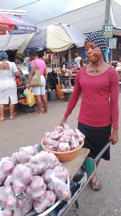 In Agbarho, Nigeria, a woman wearing a black and white polka dot headscarf and a maroon long-sleeved shirt pushes a wheelbarrow filled with produce. The wheelbarrow contains two large containers of onions, wrapped in transparent plastic bags. One container is a shallow, reddish-brown bowl, and the other is a silver basin. Beneath the containers, black plastic bags are visible. The woman is wearing a black skirt and black flip-flops. In the background, other people are seen at market stalls under awnings. One woman in a pink shirt and light-colored shorts carries a green tote bag. Another woman in a white patterned dress stands near a stall with red produce. A sign for "EMS PLAZA" is visible in the upper right corner. The ground is paved, and the sky is overcast.