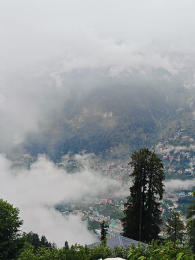 The image captures a high-angle view of the city of Prini, India, nestled amidst lush green hills and shrouded in atmospheric fog. In the foreground, the tops of evergreen trees and some leafy bushes are visible, suggesting the vantage point is from an elevated position overlooking the city. Dominating the mid-ground is a tall, dark evergreen tree, its branches reaching upwards. Beyond this tree, the city of Prini unfolds across the hillsides. Buildings, painted in various colors including teal, pink, and white, are densely packed, creating a mosaic of urban life against the natural landscape. The fog adds a sense of mystery and depth, partially obscuring the distant hills and creating a soft, diffused light. The overall scene is one of a serene mountain town enveloped by nature and the elements.
