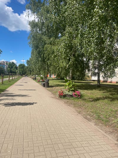 A sunlit, paved walkway lined with trees runs alongside a residential building in Yaroslavl, Russia. The walkway is constructed of light-brown rectangular pavers laid in a basketweave pattern, casting dappled shadows from the overhanging trees. To the right of the walkway, a green lawn slopes gently upwards towards a low-rise brick building. Flowerbeds with red and pink blooms are interspersed with leafy plants, and a dark brown bench sits near the walkway. Several people are visible walking in the distance along the path. The sky is a clear blue with scattered white clouds, and utility poles are visible in the background.