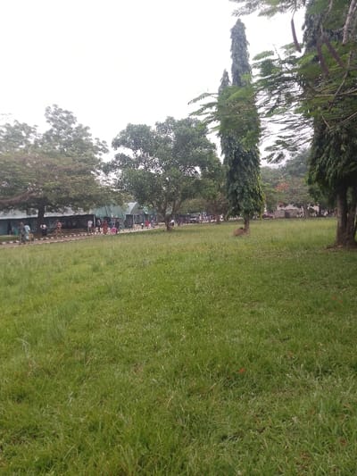 This image depicts an outdoor scene in Ota, Nigeria, characterized by a large expanse of green grass in the foreground and midground, under an overcast sky.
In the midground, a paved walkway or road runs horizontally from left to right. Along this path, a series of connected structures with light-colored walls and dark (possibly green or blue) sloped roofs are visible, extending along the left side of the frame. These structures appear uniform, suggesting stalls, temporary shelters, or a modular building section. Multiple individuals, dressed in various civilian attire, are observed walking along this paved path, primarily concentrated on the left side of the image.
Numerous trees are present throughout the scene. A prominent, tall, slender tree with dense green foliage stands vertically in the central-right portion of the midground. Other trees with broader canopies and varying shades of green leaves are distributed, particularly on the left side and in the background, partially obscuring distant structures. The background consists of further vegetation and indistinct building outlines. The sky is uniformly white, indicating overcast conditions or bright diffuse lighting. The overall impression is a public or campus area with pedestrian activity amidst significant greenery.