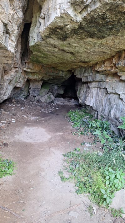 This is a vertical, eye-level shot of the entrance to a cave located in Milanovo, Bulgaria. The cave is formed in a large rock formation with layered sedimentary rock faces. The entrance is a dark opening in the rock, partially obscured by shadows. The ground in front of the cave is dirt and gravel, with some scattered debris and vegetation. There are several large rocks and boulders at the base of the cave entrance. The overall impression is a natural, somewhat wild environment. There are no people or animals visible in the image.