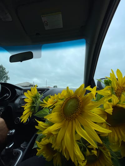 The image shows a bouquet of sunflowers on the dashboard of a car. The view is from inside the car, looking out through the windshield. Outside the car, a cloudy sky is visible, along with some buildings and trees. The location is identified as Perevoznoe, Russia. The scene depicts a still moment inside a vehicle, with the sunflowers prominently featured in the foreground. The interior of the car is dark, with the dashboard and gear shift visible. The external environment is obscured by the car's windows and the bouquet of flowers.