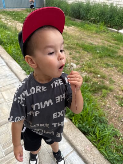 A young boy, estimated to be between 2 and 4 years old, is shown from the chest up in an outdoor setting. He is wearing a black t-shirt with white text that appears to say "EXPLORE THE WILD" repeated, black shorts, a red and black baseball cap, and black and white sneakers. He is holding a dandelion puff in his right hand and appears to be blowing on it, with his mouth open. The background consists of green grass, a concrete walkway, and a light-colored fence. The scene is consistent with a residential area or park, likely in Verkhneyarkeyevo, Russia.