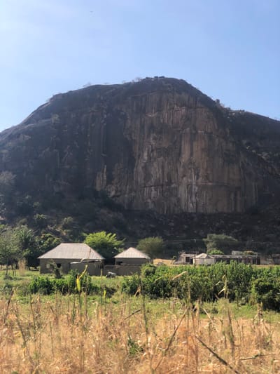 The scene depicts a rural landscape in Bununu Central, Nigeria, dominated by a large, dark grey and brown rocky mountain, likely an inselberg, that occupies the upper two-thirds of the frame. The mountain features a steep, vertically striated face and sparse vegetation on its summit and slopes. In the midground, two single-story residential structures are visible, exhibiting light-colored, sloped roofs (likely corrugated metal) and unfinished, dark-toned walls. Green trees and shrubs surround these buildings. A faint, light-colored quadruped is positioned near the left-most house. Further right, a smaller white building with a dark roof and utility poles are partially visible. The foreground consists of dry, light-brown, and green stalk-like vegetation. The sky is clear and light blue. No human figures or discernible human activity are present. The scene is illuminated by natural daylight.