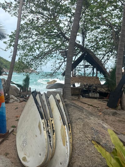 A beach scene with a view of the ocean, captured amidst palm trees. Surfboards are stacked in the foreground. A primitive wooden structure stands near the water, possibly a small bar or shack. The sky is overcast. A sandy beach stretches to the water's edge. Rocks dot the shoreline.