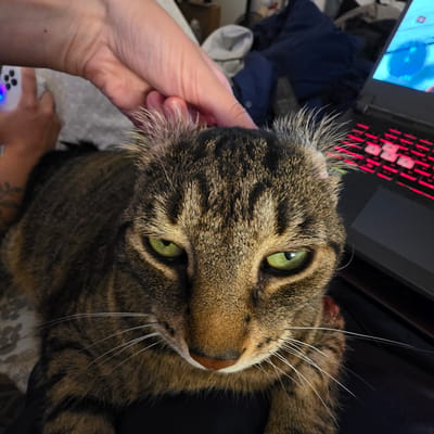 This is a close-up, overhead shot of a tabby cat's face. The cat has striking green eyes and prominent white whiskers. A human hand is gently stroking the cat's head, near its ear, which is perked up and has long tufts of fur. The cat is lying down, and the background is somewhat blurred, suggesting an indoor setting. To the left, a portion of a laptop screen is visible, displaying a bright, blue-toned image, possibly from a video game. The keyboard of the laptop has illuminated red keys. In the lower portion of the image, another hand is visible, holding a white game controller with some purple and blue lights. The overall impression is one of a relaxed, domestic scene, with the cat enjoying attention while someone is likely engaged with their computer or gaming. There is no visible text in the image.