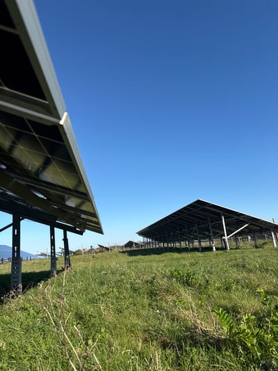 The image displays a solar farm situated in Eastleigh, United Kingdom, under a clear blue sky. In the foreground, the underside of a solar panel array with a silver metallic frame is visible on the left, angled upwards. The dark, gridded surface of the panel is partially discernible. Across the midground and extending towards the horizon on the right, multiple rows of similar, large-scale solar panel arrays are present, viewed from beneath, showcasing their metal support structures and the undersides of the panels. The ground beneath and between these arrays is covered with green and dry grasses and various low-lying weeds. No individuals, animals, or active subjects are present in the scene. The environment is open and appears to be a rural or semi-rural field.
