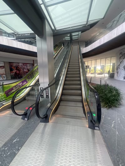 The image displays the interior of a modern commercial building, likely a shopping mall, situated in León, Mexico. Two prominent escalators, constructed with grey metallic steps, glass side panels, and black handrails, dominate the scene. Both escalators feature illuminated golden-yellow accent lighting along their base. The escalator on the right is ascending, indicated by a green operational light at its entrance, while the partially visible escalator on the left is descending, marked by a red light.
The flooring consists of patterned silver metallic plating interspersed with strips of dark grey polished stone. The ceiling features a multi-paneled glass skylight system with metal framing, allowing natural light to illuminate the space. Vertical support columns with a silver metallic finish are visible.
On the left side of the frame, a wall displays a large mural or advertisement depicting multiple individuals. A green banner, with reversed text reading "MISTER EMPASTER SALTAR ES SOLO EL COMIENZO", is visible on the side of the descending escalator. The right side features a curved wall adorned with a large black and white graphic art print of a person's face. Below this artwork, large glass windows offer a view to an exterior area, where a single human figure is faintly visible as a dark silhouette in the distant background. A small patch of green decorative foliage is located on the ground to the right of the ascending escalator. No individuals are present on the escalators or in the immediate foreground, and no specific actions or interactions are depicted within the visible interior.