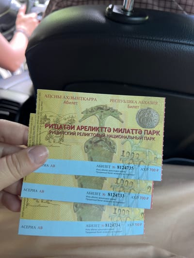 This is a close-up, slightly angled, portrait-oriented photograph showing a person's hand holding up three tickets. The tickets are colorful, predominantly yellow with blue text and red perforations along the top edge. The background consists of the dark, textured surface of what appears to be car upholstery, likely a seat. A person's arm and wrist are visible in the lower left corner, wearing a bracelet.
The tickets themselves are the main focus. They are printed with text in what appears to be Abkhazian and Russian. Key visible text includes "РЕСПУБЛИКА АБХАЗИЯ" (Republic of Abkhazia), "РИЦИНСКИЙ РЕЛИКТОВЫЙ НАЦИОНАЛЬНЫЙ ПАРК" (Ritsinsky Relict National Park), and "АБИЛЕТ №" (Ticket No.) followed by numbers such as 8124735, 8124733, and 8124734. The price of "700 P" is also clearly visible on each ticket. A small circular emblem with text like "ABAC" and "TIAC" is present on the leftmost ticket, as is a coin-like depiction. The tickets also contain decorative line patterns and what look like depictions of nature or wildlife. The phrase "Проданный билет возврату не подлежит" (Sold ticket is non-refundable) is also present. The tickets appear to be for entry to a national park. The person's hand is holding them in a way that suggests they are being presented or displayed. The lighting suggests it is daytime, possibly indoors or in a shaded area.