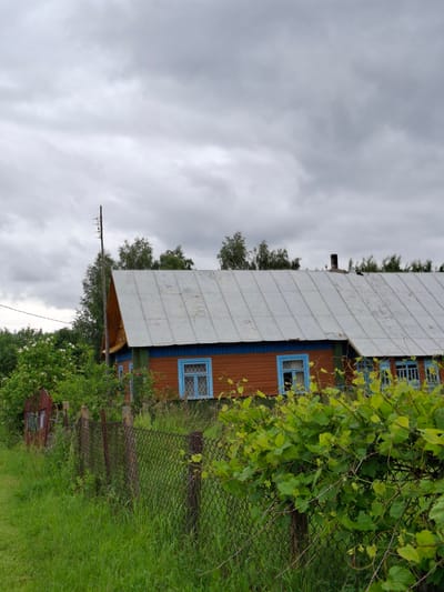 The image depicts a rural scene in Дубровенскі сельскі Савет, Belarus, under a heavily overcast sky. A wooden house with a metal roof is visible, featuring orange-brown siding and blue-trimmed windows. A wire mesh fence runs in front of the house, with lush green foliage, including what appears to be grapevines, growing over it. To the left of the house, a red metal gate is partially visible amongst green bushes and tall grass. A wooden pole with what looks like an antenna rises from behind the house, and a chimney is present on the roof. The overall impression is one of a slightly unkempt, but lived-in, rural dwelling.