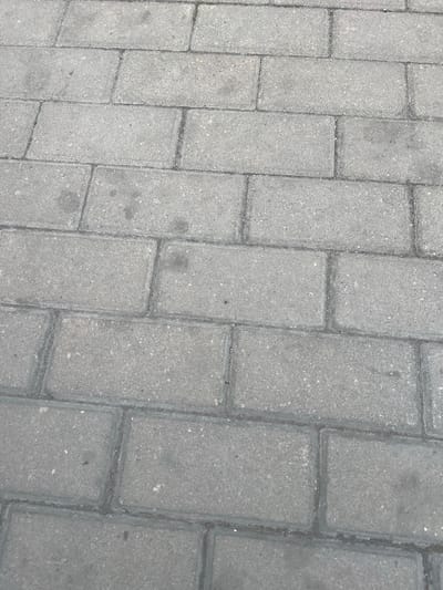 This image is a top-down, full-frame view of a grey cobblestone or paver walkway. The pavers are rectangular and laid in a staggered pattern. The surface appears slightly worn and shows some minor staining, suggesting it is an outdoor area that experiences foot traffic. The lighting is consistent and diffuse, indicating it is likely daytime with overcast skies or perhaps taken indoors under even lighting. There are no people or objects visible on the walkway, and no text is present. The scene is a simple, textured ground surface, devoid of any specific environmental or emotional cues beyond the implied functionality of a path or plaza. The setting is a generic outdoor ground cover, and no specific location cues are discernible from the image itself.