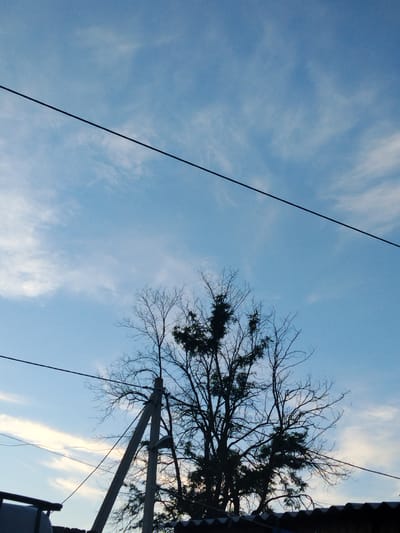 The image shows a view of a bright blue sky with thin, wispy clouds. Two black wires run diagonally across the frame, one higher than the other. In the lower half of the image, silhouetted against the sky, is the upper portion of a bare-branched tree and a concrete utility pole. The tree's branches are intricate and dark, with some scattered green foliage on the right side. The utility pole is tilted and appears to support at least one of the wires. In the very bottom of the frame, the dark, corrugated edge of a roof is visible. The setting appears to be outdoors, possibly in a residential or rural area. There are no people visible in the image. The overall impression is of an overcast day or late afternoon sky, with man-made infrastructure intersecting with nature. The image does not contain specific landmarks or details that would definitively place it in Cîrpești, Moldova.