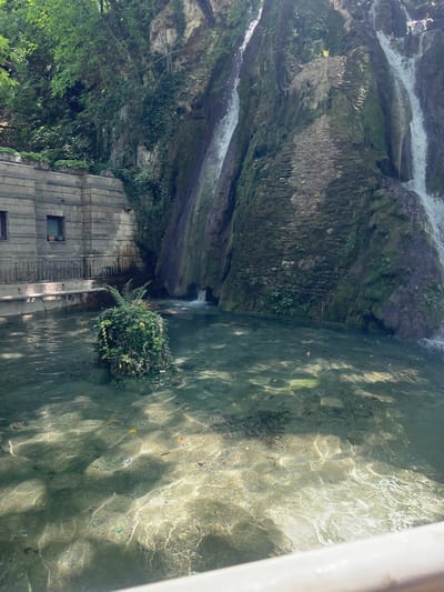 The image shows a tranquil natural scene in Bachkovo, Bulgaria, featuring a cascading waterfall in the background. The waterfall flows down a rocky cliff face covered in moss and vegetation. In the foreground, a clear pool of water reflects the sunlight, creating a dappled effect on the sandy bottom. In the center of the pool, a small island of greenery rises from the water, adorned with lush plants and ivy. To the left, a building with stone walls and windows is visible, hinting at a man-made structure integrated with the natural landscape. A metal fence runs along the edge of the pool, separating it from the building. The overall atmosphere is serene and picturesque, showcasing the beauty of nature.