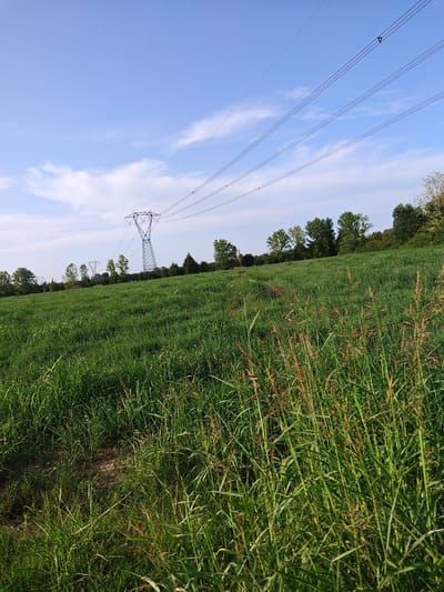 This is a landscape photograph taken outdoors. The foreground is dominated by tall green grass, some of which is tinged with brown seed heads, indicating a late summer or early autumn season. A narrow, dirt path is visible in the lower left quadrant, disappearing into the dense grass.
In the middle ground, a vast, rolling field of the same green grass extends towards a treeline. Beyond the field, a prominent lattice-style power line tower stands tall, with multiple electrical cables stretching across the sky and disappearing towards the right side of the frame. Several other, smaller power line towers are visible in the distance, also part of the same network.
The background consists of a dense line of deciduous trees, their foliage a mix of green and hints of yellow and orange, again suggesting the changing season. The sky above is a clear, light blue with scattered wisps of white clouds. The overall impression is one of a rural or semi-rural landscape, with man-made infrastructure (power lines) integrated into a natural environment. The scene does not contain any people or visible signs of urban development typical of a city center. Therefore, it is highly unlikely that this image depicts a location within the city of Modena, Italy, which is known for its historic architecture and urban layout.