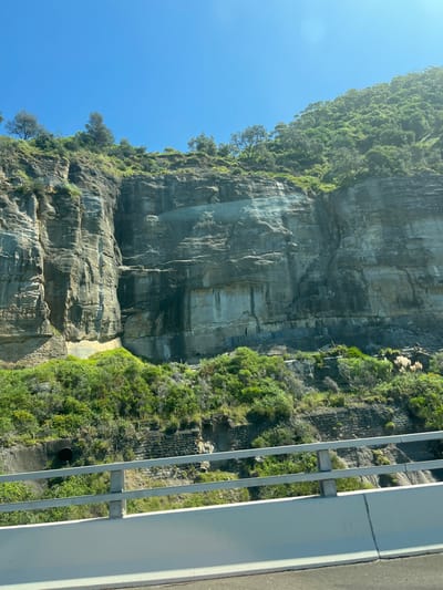 The image displays a towering rock escarpment under a clear blue sky, viewed from a roadway within the Wollongong City Council area, Australia, consistent with the terrain adjacent to the Sea Cliff Bridge. In the immediate foreground, a white concrete road barrier extends horizontally, topped by a two-bar metal safety railing. Beyond this barrier, the midground reveals a steep incline densely covered with various green shrubs and trees. Integrated into the lower sections of the cliff are engineered structures, including a dark circular culvert pipe protruding from the rock face on the left, and extensive stone retaining walls visible throughout the slope. The prominent background feature is a massive, multi-layered rock cliff, exhibiting distinct horizontal strata of grey and beige rock, interspersed with darker vertical streaks indicative of water runoff. The top of the cliff is heavily forested with dense green tree canopy. No individuals, active vehicles, or dynamic interactions are present within the frame.