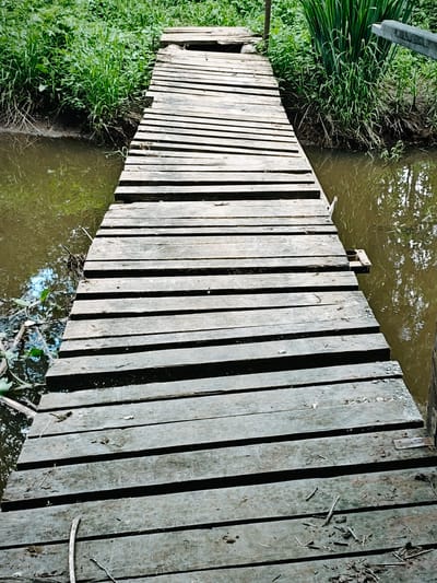 A wooden bridge spans a narrow body of water, likely a stream or small river, in a vegetated area. The bridge is constructed of parallel wooden planks, with visible gaps between them. The planks appear aged and weathered. Water is visible on either side of the bridge, reflecting some sky light. The banks of the waterway are overgrown with grasses and other green foliage. The scene suggests a natural or semi-natural environment. The location is specified as Боровково, Russia, but no elements in the image directly verify this location.
