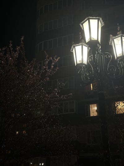 A nighttime photograph shows a street lamp with three lanterns casting light against a building with lit windows. The lamp is highly ornamented with scrolls and flourishes. A flowering tree, out of focus, is silhouetted against the building and the dark sky. The image is oriented such that the top of the frame is to the left. The location of the image is unknown and cannot be determined from the content or metadata.