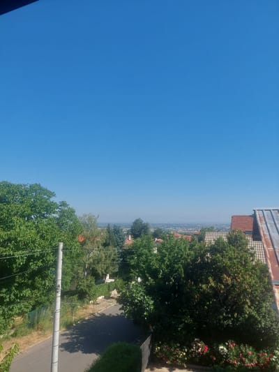 This is an outdoor, eye-level, landscape photograph taken from an elevated viewpoint, possibly a balcony or a window. The scene depicts a clear, bright, blue sky dominating the upper half of the frame. Below the sky, a panoramic view of a residential area is visible, suggesting it is likely the city of Markovo, Bulgaria. The foreground is characterized by lush green trees and foliage. A grey concrete utility pole stands prominently on the left side of the frame, with several wires strung between it and unseen points. A paved road runs diagonally from the bottom left to the center of the image, casting shadows from the surrounding trees. The middle ground features a cluster of houses with terracotta tile roofs and other architectural elements. Further in the distance, a hazy urban landscape extends towards the horizon, with hints of industrial structures and a vast expanse of sky. The lower right corner of the image reveals more rooftops and a dense canopy of trees. A flower bed with a variety of colorful blooms, including red, pink, and white flowers, is visible in the bottom right corner. The overall impression is a sunny day in a suburban or semi-rural environment.