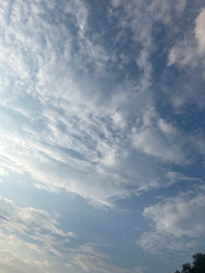 The image shows a wide shot of a blue sky filled with various types of clouds. In the upper left, there is a bright area indicating the sun, with light rays shining through. The clouds range from wispy, thin cirrus clouds to thicker, more amorphous stratocumulus formations. The bottom right corner of the image captures the tops of dark green trees, suggesting an outdoor scene. The overall impression is a daytime sky, likely taken from an open area such as a park or field. The location is specified as Загародскі сельскі Савет, Belarus.