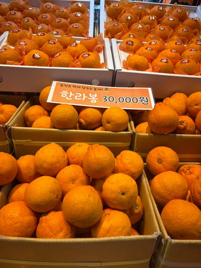 This image shows an outdoor market stall in Seogwipo-si, South Korea, overflowing with ripe, vibrant oranges. The oranges are neatly packed in cardboard boxes, with some individually wrapped in orange paper. The setting appears to be a sunny day, suggested by the bright lighting and strong shadows. The focus is on the abundance of fruit, highlighting its freshness and quality.
A prominent sign is placed vertically in the center of the frame, displaying Korean text and a price. The top portion of the sign reads "한라봉" (Hallabong), which is a type of citrus fruit native to Jeju Island, South Korea. Below that, it says "농민 직접 당도 높은 놈!" which roughly translates to "Farmer's direct, high-sugar ones!". The bottom part of the sign shows "30,000원," indicating a price of 30,000 Korean Won. The overall impression is one of a bustling market with fresh produce available for sale. The arrangement of the oranges and the vibrant colors evoke a sense of abundance and the appeal of seasonal fruit.
