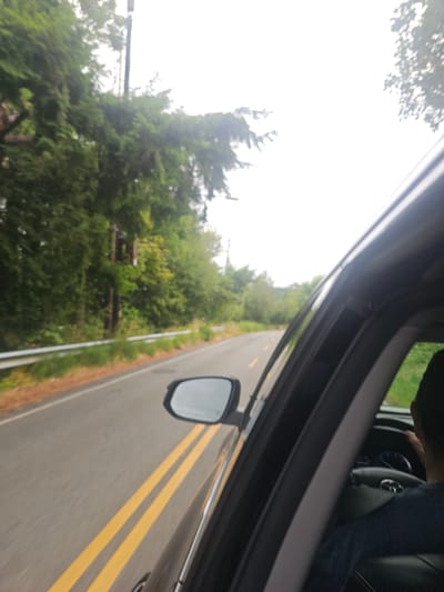 The image captures a view from inside a car driving on a two-lane road lined with lush green trees and vegetation. The road is paved, with double yellow lines marking the center. A silver guardrail runs along the side of the road, separating it from the embankment of trees. In the foreground, a portion of the car's interior is visible, including the side mirror, the window frame, and the steering wheel. A person's head and shoulders are visible behind the steering wheel, indicating they are driving. The sky is overcast and bright, suggesting a cloudy day. There are no visible landmarks that can precisely pinpoint the location within Seattle. The overall scene depicts a scenic drive through a wooded area on a day with diffused natural light.