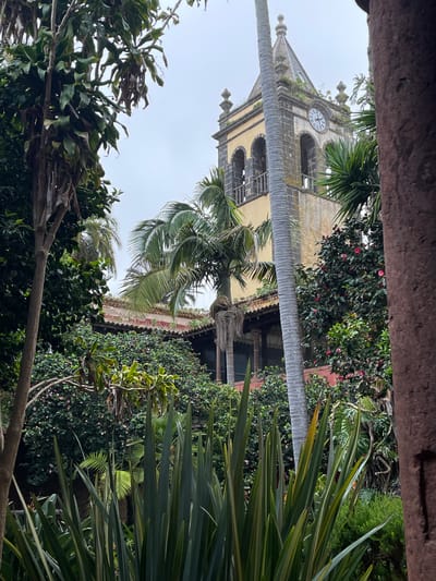 This image captures an upward view of an old stone church tower, framed by abundant tropical and subtropical foliage. The scene is set on an overcast day, indicated by the uniformly white sky.
The prominent subject is a historic church tower, constructed from various shades of stone, located slightly to the left of the frame's center. It features multiple arched window-like openings, possibly bell chambers, and is adorned with a visible clock face near its peak. The clock face displays Roman numerals, with its hands indicating approximately 10:10. The tower exhibits signs of age, including some weathering and patches of greenery growing on its stonework.
The foreground and sides of the image are filled with dense, vibrant plant life. A thick, textured palm tree trunk cuts horizontally across the middle of the frame, adding a prominent linear element. Numerous palm fronds are scattered throughout. Other diverse plants include leafy bushes with small pink flowers, resembling camellias, and various broad-leafed plants with long, blade-like leaves, particularly noticeable in the bottom right. A partial view of a building roof with red tiles is visible behind some of the foliage, hinting at surrounding structures.
No specific activity or event is taking place; it's a static landscape view. The lush vegetation and the architectural style of the church are consistent with the provided location context of San Cristóbal de La Laguna, Spain, suggesting a historical site within a verdant setting. The overall impression is one of serene antiquity intertwined with nature.