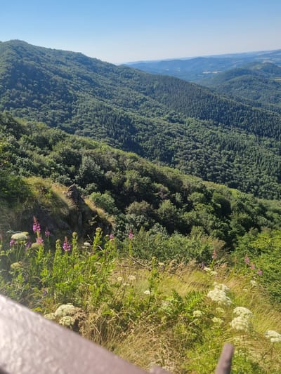 The image depicts a panoramic view of a lush, green mountain landscape under a clear blue sky. The foreground features a variety of wildflowers and grasses, with pink and white blooms being prominent. In the mid-ground, a rocky outcrop with sparse vegetation is visible, casting a shadow. The background is dominated by rolling hills covered in dense forest, with trees of varying shades of green suggesting different species or stages of growth. The distant hills fade into a hazy blue, indicating a significant depth to the landscape. The scene is a natural environment, likely a mountainous region, and appears to be taken from an elevated viewpoint, possibly a hiking trail or observation point in the vicinity of Radevtsi, Bulgaria. There are no people or animals visible in the image. The overall impression is one of serene natural beauty.