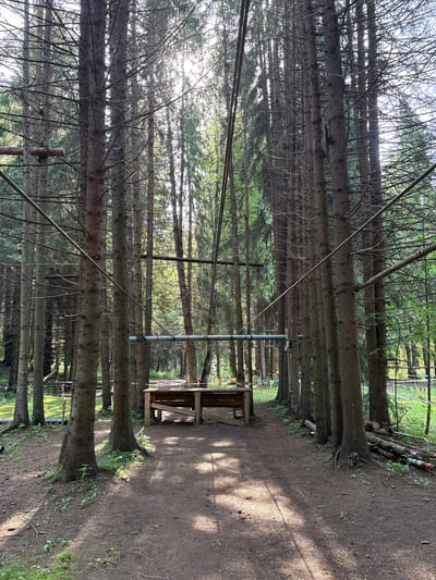 The image depicts a pathway through a forest in Sergino, Russia. Tall, slender pine trees line the left side of a dirt path, casting dappled shadows. The path curves to the right, leading towards a wooden picnic table situated under some of the trees. In the background, beyond the trees and path, there are hints of an outdoor recreational area, possibly a park or adventure course, with colorful flags and ropes visible. The sunlight filtering through the dense canopy suggests it is daytime, likely morning or afternoon, with clear weather. The scene evokes a sense of tranquility and natural beauty, typical of a forest setting. There is no visible text in the image.