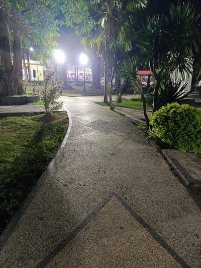 The image depicts a tranquil park or public garden at night in Kecamatan Asembagus, Indonesia. A meandering pathway, constructed from light-colored pebbled concrete with dark geometric lines, dominates the foreground and recedes into the distance. The surface of the path appears reflective, possibly due to dampness from rain or dew, catching the light from overhead sources.
Lush vegetation flanks both sides of the path. On the left, patches of green grass are visible, alongside large, mature trees with substantial trunks and a smaller, bushy plant. The right side features several slender palm trees and dense, vibrant green shrubs.
In the mid-ground and background, bright artificial lights from what appear to be streetlamps or floodlights illuminate the area, creating significant glare. Beyond the immediate greenery, various structures or buildings are discernible, also brightly lit, with some showcasing red architectural elements. These background elements suggest a commercial or community area bordering the park.
No individuals are present, giving the scene a quiet and peaceful ambiance. The time of day is clearly night, as indicated by the dark sky and reliance on artificial illumination. There is no visible text that can be clearly read within the image.