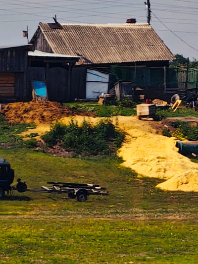 The image captures a rural scene in the village of Pogodaevo, Russia. In the background, a weathered, wooden building with a corrugated metal roof stands prominently. To its left, a smaller wooden structure is attached. In front of these buildings, a large pile of organic material, possibly straw or hay, is visible, along with a bright blue object that appears to be a discarded piece of plastic or metal. A portion of a yellow mound, possibly sand or a similar material, extends into the mid-ground.
In the foreground, a dark-colored vehicle, likely a truck, is partially visible on the left side. Attached to this vehicle is a trailer carrying several long, dark objects, possibly pipes or lumber. The ground is covered in green grass, with some patches of dirt and dry vegetation. The sky above is overcast. The overall impression is one of a utilitarian, perhaps agricultural or construction-related, outdoor space. There are no people visible in the image.