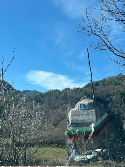 The image depicts an outdoor scene in Stoianovo, Bulgaria, under a clear blue sky with sparse white clouds. The primary subject is a large, irregularly shaped rock functioning as a monument, positioned in the mid-ground. A rectangular plaque on the rock displays Cyrillic text, which translates to "FIRST OPERATOR OF HPP 'BYAL IZVOR' RADI OMAROV." Above this plaque, a framed, black and white portrait of a man with a mustache is affixed. To the right of the plaque, the rock surface is painted with horizontal stripes of white, green, and red, resembling the Bulgarian national flag. Smaller, white-painted stones are arranged at the base of the monument.
The environment features a steep, forested hillside immediately behind the monument, covered with a mix of bare deciduous trees and evergreen conifers. A grassy, partially treed field extends to the left of the monument. Bare tree branches, characteristic of late winter or early spring, are prominent in the foreground and along the left and upper right edges of the frame. A single, tall, slender bare tree trunk stands vertically behind the monument. The viewpoint suggests the image was captured from a vehicle, with a dark horizontal element visible at the very bottom of the frame. No individuals, animals, actions, or interactions are visible.
