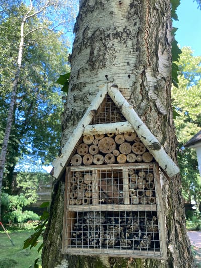 A close-up shot shows a wooden insect hotel attached to the textured bark of a birch tree. The insect hotel is triangular at the top with a roof made of birch branches, and beneath that, it's divided into compartments. The upper section is filled with small, hollow tubes made from reeds or bamboo, varying in diameter. The lower section is filled with pine cones. A wire mesh covers the front of the hotel. The background reveals a lush green garden with trees and a bright blue sky. The location is identified as Wielka Wieś, Poland. There are no people or animals visible in the immediate frame.