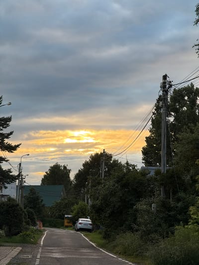 This media file depicts a rural roadside scene in Zimyonki, Russia, during what appears to be a cloudy sunset. The perspective is from ground level, looking down a paved road that curves to the right. Towering trees line the right side of the road, their dense foliage casting shadows. On the left side of the road, telephone poles with a complex network of wires are prominent.

The sky is filled with dramatic, wispy clouds that are illuminated by a bright, warm light, indicating the sun is setting. This creates streaks of yellow and orange through the grayer clouds. The overall mood is serene and somewhat overcast, with the sunset adding a touch of warmth.

Visible objects include a white car parked on the side of the road, several houses with green roofs, and streetlights. There are also what appear to be road signs and utility boxes attached to the telephone poles. The road itself has dashed white lines marking its edges and center.

The scene evokes a sense of peaceful, everyday life in a rural setting. The time of day is clearly dusk, with the light filtering through the clouds. The weather is cloudy but not actively raining. No people are visible in the frame. The location is hinted at by the provided context "Zimyonki (Zimenki, Zimenka), Russia." No discernible text is legible in the image.