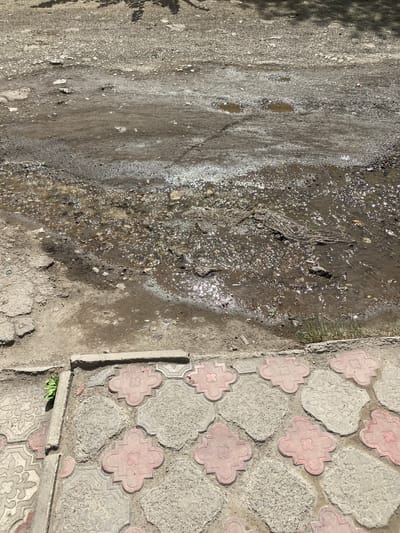 The image depicts a damaged, muddy road surface with several puddles of murky water. The road appears to be unpaved in some areas, with loose gravel and dirt. Sunlight reflects off the surface of the water, creating a shimmering effect. In the foreground, there is a section of paving stones, some of which are red and shaped like four-leaf clovers, while others are gray and have decorative patterns. A small patch of green grass is visible between the road and the paving stones. The scene is likely in a residential or less-maintained area of Alchevsk, Ukraine, characterized by its dilapidated infrastructure.