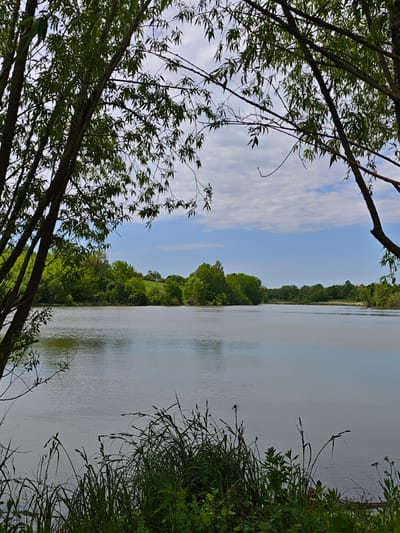 The image depicts a tranquil lake scene, framed by trees. The lake water is a calm gray color, reflecting the sky above. Across the lake, a line of green trees forms the far bank. In the foreground, tall grasses and foliage grow along the near shore. The location is Parkhomivka, Ukraine. The image does not contain any people, actions, or interactions.